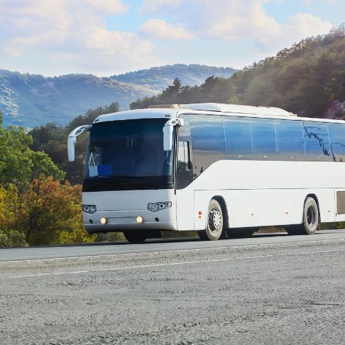 CQC per guidare autobus